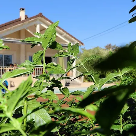Maison Les Coquelicots *